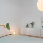 Dream Island Paljuv